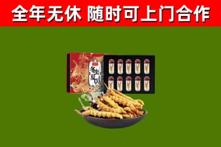 九龙坡区烟酒回收冬虫夏草礼盒.jpg